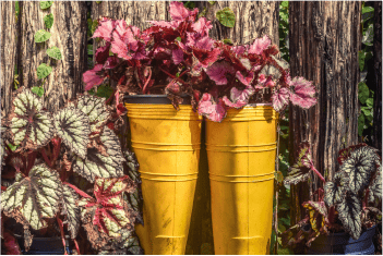A pair of yellow wellington boots that are repurposed and used as flower pots