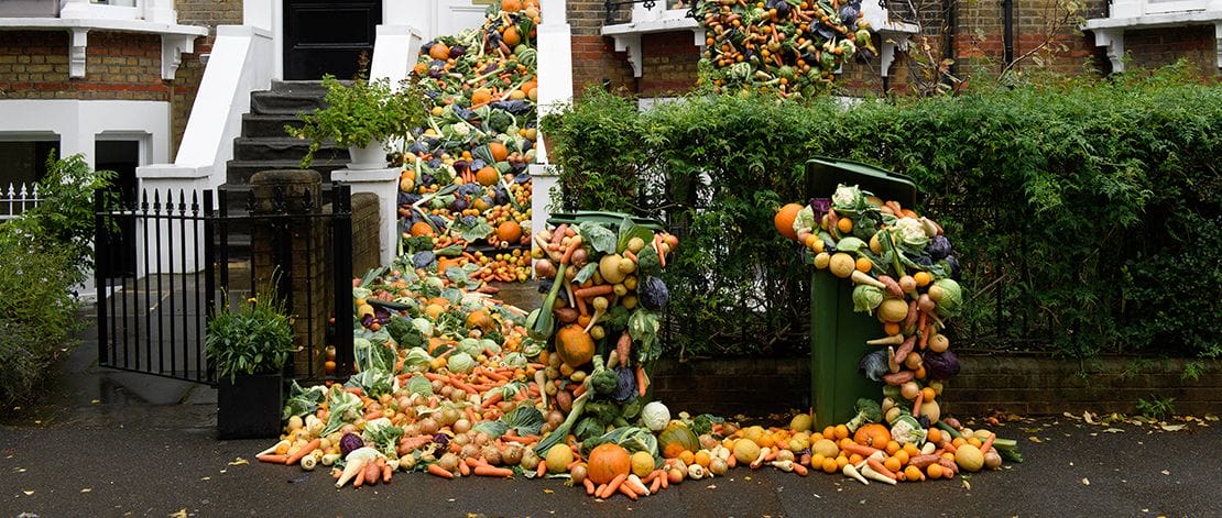 Food waste featured image
