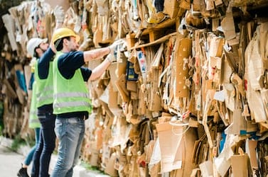Male coworkers stacking cardboard at warehouse. Men are working at recycling center. They are wearing reflective clothing.